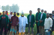 নন্দীগ্রামে বালাইনাশকের স্বাস্থ্য ঝুঁকি কমাতে উদ্বুদ্ধ করছে প্ল্যান্টডক্টর মোবাইলটিম