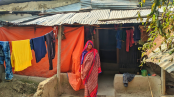 নন্দীগ্রামে দেবর কর্তৃক বিধবা ভাবির স্বামীর বসত ভিটা থেকে উচ্ছেদের চেষ্টা
