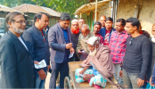 জনগণের রায় নির্বাচিত হয়ে নিজের স্বার্থ নিয়ে ব্যস্ত ছিল বিএনপি- শফিক