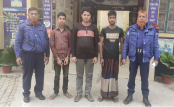 নন্দীগ্রামে ইয়াবাসহ গ্রেপ্তার তিন 