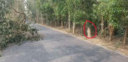 শেরপুরে রাস্তায় গাছ ফেলে ডাকাতি 