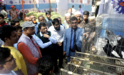 ধুনটে প্রাণিসম্পদ প্রদর্শনী অনুষ্ঠিত