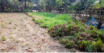 গাবতলীতে জমি দখলের 
চেষ্টা