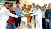 দুপচাঁচিয়ায় কৃষকদের মাঝে বিনামূল্যে বীজ ও সার বিতরণ