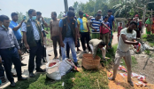 বগুড়ায় মেয়াদোর্ত্তীণ ১০০ কেজি সেমাই
জব্দ: পৃথক প্রতিষ্ঠানে ১০ হাজার টাকা জরিমানা