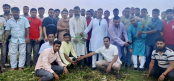 গাবতলীতে জিয়ার 
৪২তম শাহাদৎ বার্ষিকী 
উপলক্ষে বৃক্ষরোপন 