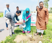 বজ্রপাত ঠেকাতে নন্দীগ্রামে তালের চারা রোপন কর্মসুচি পালিত