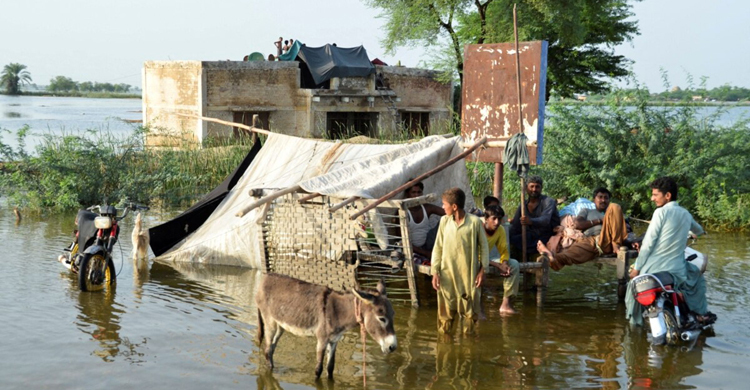 পাকিস্তানে ভারী বৃষ্টিপাত, ২৫ জনের মৃত্যু
