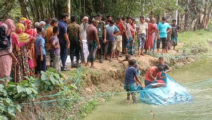 নামুজায় সরকারিভাবে নিষিদ্ধ ১৩শ' পিরানহা মাছ উদ্ধার! 