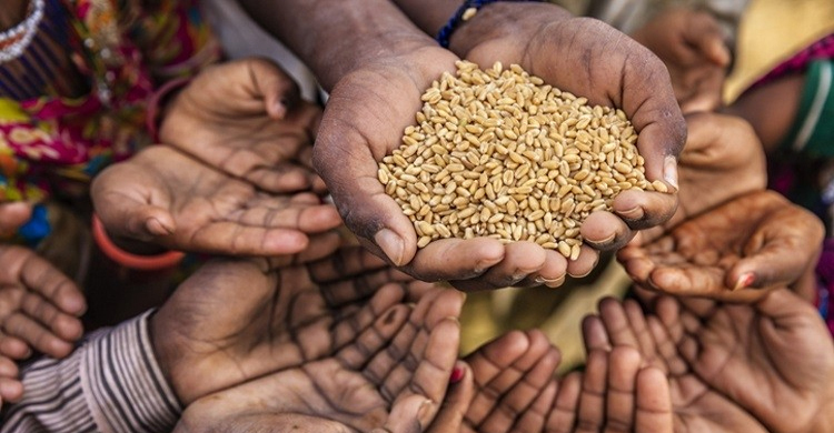 আফ্রিকার ৬ দেশে বিনামূল্যে গম দেবেন পুতিন
