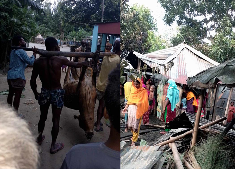 ধুনটে অগ্নিকাণ্ডে গরুর মৃত্যু, কৃষক দগ্ধ