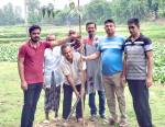 শেরপুরে পূজা উদযাপন পরিষদের বৃক্ষরোপণ