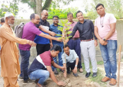 পরিবেশ রক্ষায় বগুড়া ইয়ূথ
ফোরামের বৃক্ষরোপণ কর্মসূচি