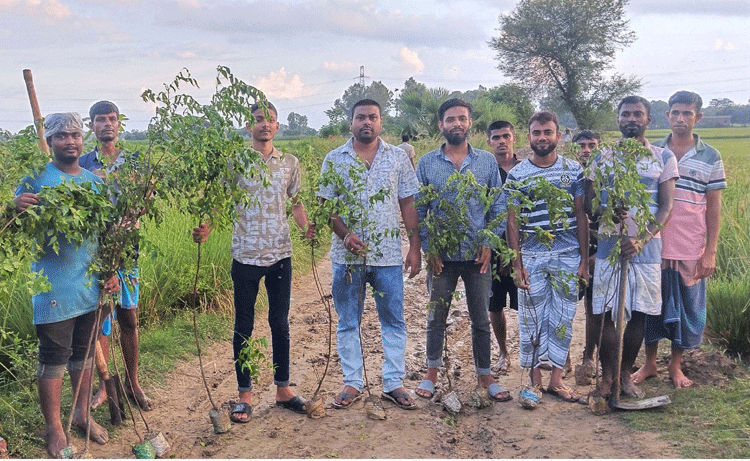 মান্দায় দুই কিলোমিটার রাস্তায় বৃক্ষরোপণ