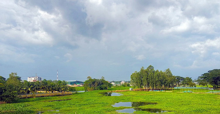 বৃষ্টি বেড়ে কমতে পারে দিনের তাপমাত্রা
