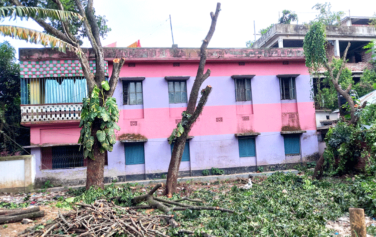 শেরপুর সরকারি কলেজের জায়গা থেকে গাছ কর্তনের অভিযোগ