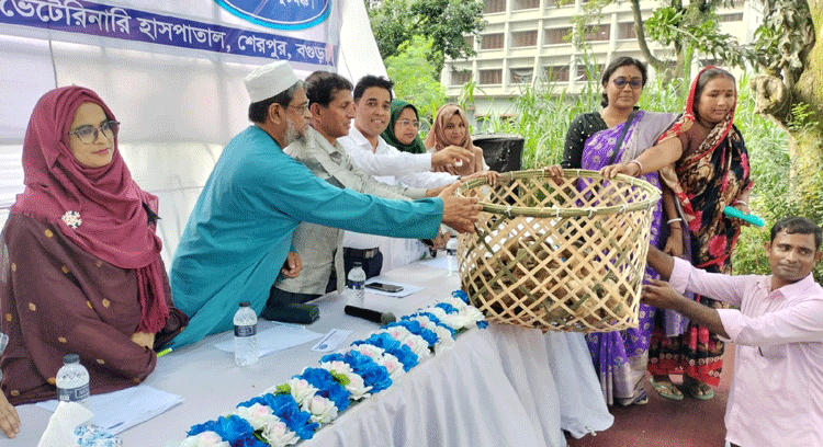 শেরপুরে ৩৩০ ক্ষুদ্র নৃ-গোষ্ঠীর পরিবারের মাঝে হাঁস হাঁসের ঘর ও খাদ্য বিতরণ