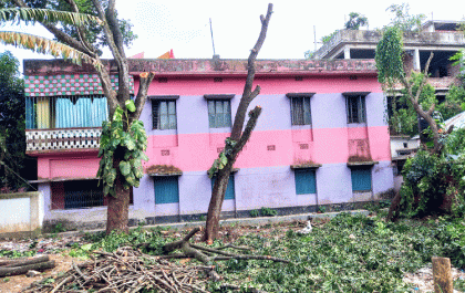 শেরপুর সরকারি কলেজের জায়গা থেকে গাছ কর্তনের অভিযোগ