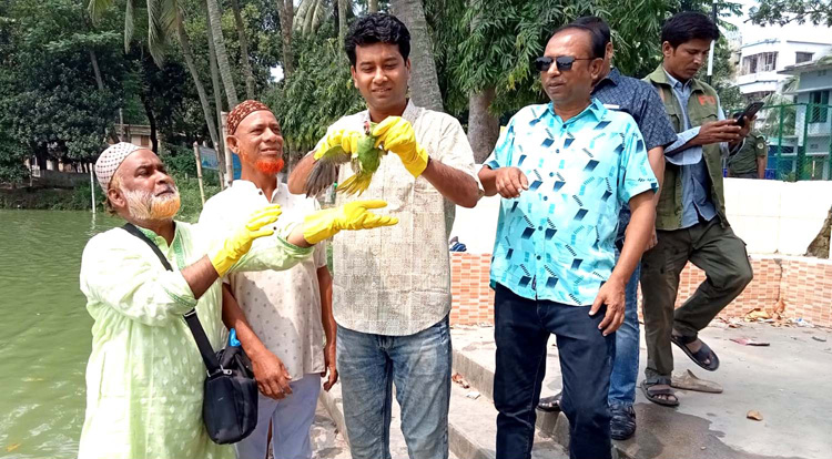 দুপচাঁচিয়ায় বন বিভাগ কর্তৃক জব্দকৃত টিয়া পাখি অবমুক্ত