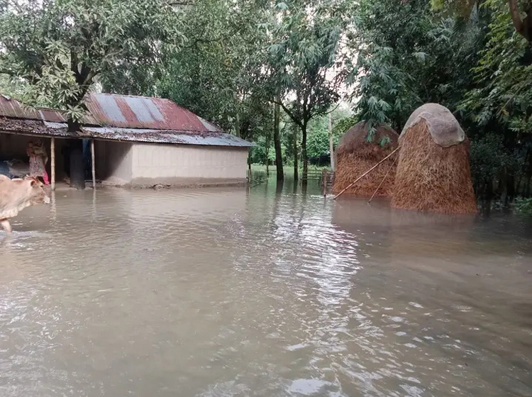 নন্দীগ্রামে গত তিনদিনের টানা বৃষ্টিতে হাঁটুপানি, দুই হাজার মানুষ পানিবন্দি