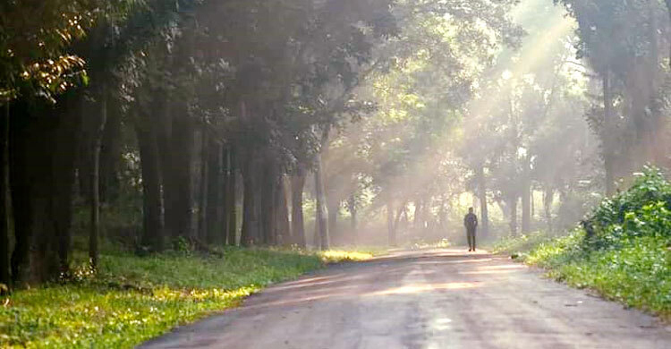 রাতের তাপমাত্রা ২ ডিগ্রি পর্যন্ত কমতে পারে
