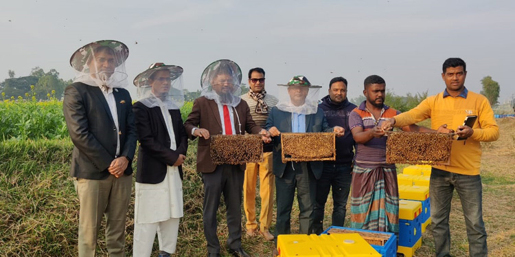 নন্দীগ্রামে চলছে মধু সংগ্রহের উৎসব