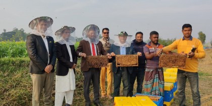 নন্দীগ্রামে চলছে মধু সংগ্রহের উৎসব