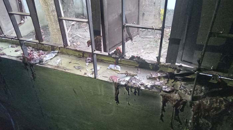 রাজশাহীর তিন উপজেলার চার ভোট কেন্দ্রে আগুন