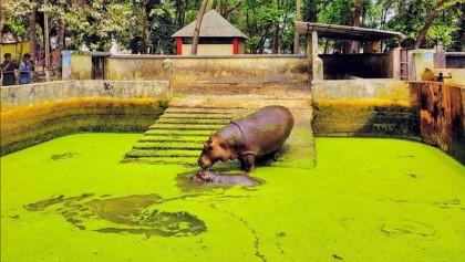 রংপুরে সর্বোচ্চ তাপপ্রবাহে জনজীবনে হাঁসফাঁস