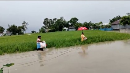 তিস্তায় পানি বৃদ্ধিতে লালমনিরহাটে বন্যা