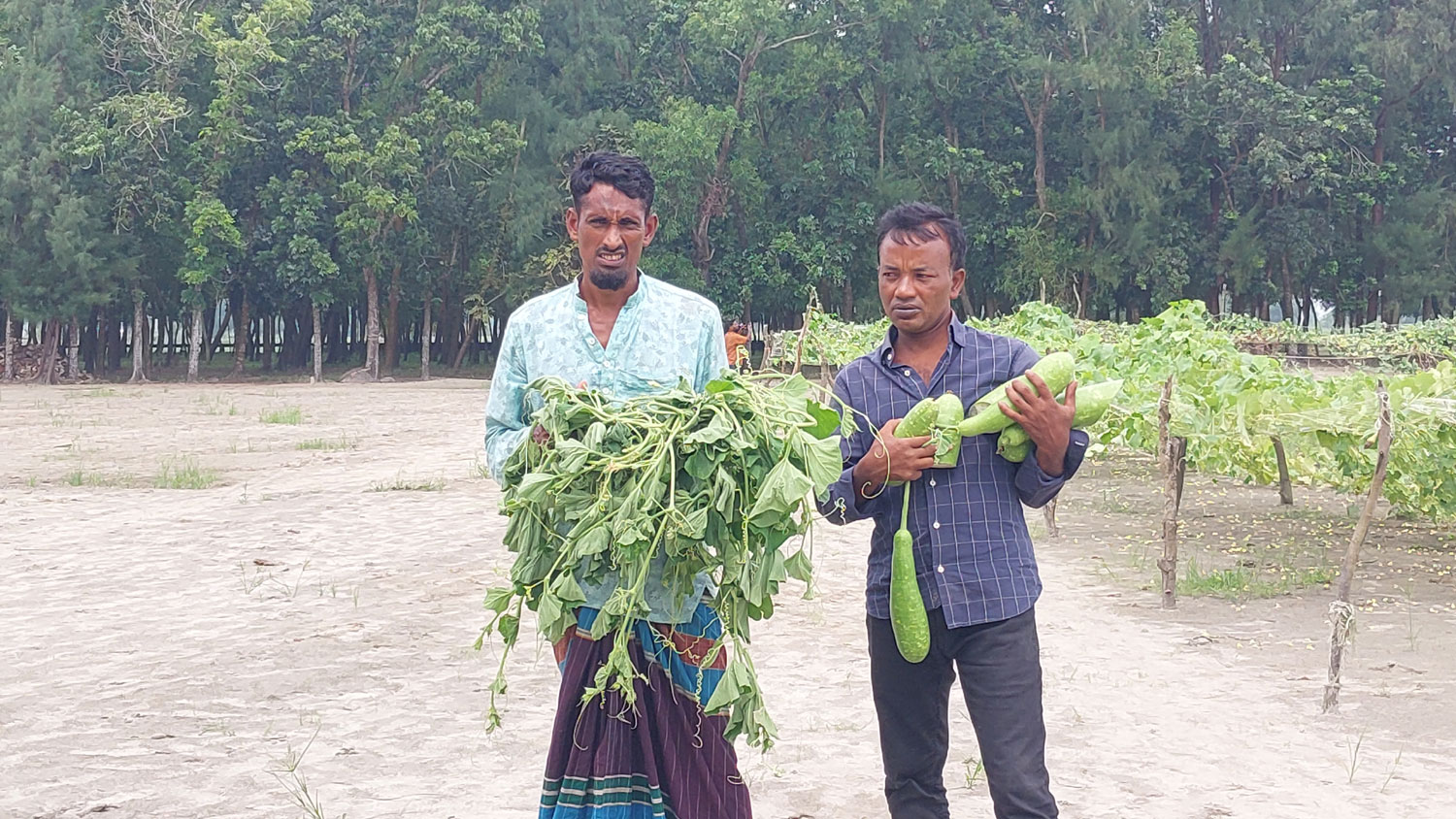 মহিপুরে কৃষকের সবজি খেতের সাথে এ কেমন শত্রুতা!