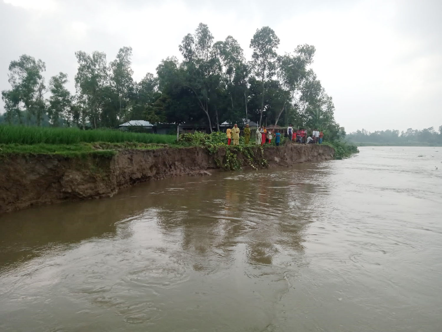 সারিয়াকান্দিতে বাঙ্গালী নদীতে  তীব্র ভাঙ্গন সৃষ্টি হয়েছে 
