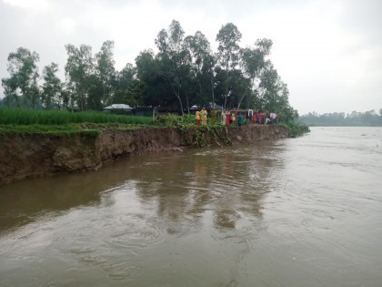 সারিয়াকান্দিতে বাঙ্গালী নদীতে  তীব্র ভাঙ্গন সৃষ্টি হয়েছে 