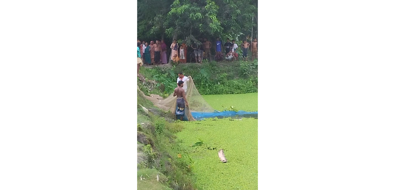 শিরোনাম: গোবিন্দগঞ্জে পুকুর দখল করে মাছ বিক্রি, সাত লক্ষ টাকার ক্ষতি