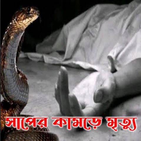 লেপের ভিতরে সাপ- নাটোরে সাপের কামড়ে গৃহবধূর মৃত্যু