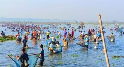 চলনবিলে বাউৎ উৎসবে মেতেছে সৌখিন মাছ শিকারীরা