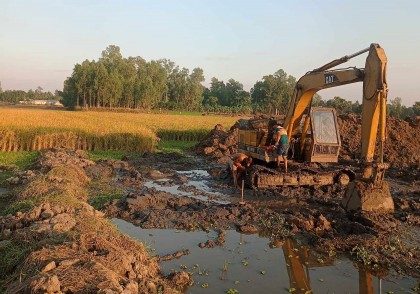 তাড়াশে এক দশকে কৃষি জমি কমেছে দুই হাজার হেক্টর