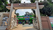 ধুনটে অভাবের যন্ত্রনা সইতে না পেরে স্বামীর বাড়িতে নববধুর আত্মহত্যা