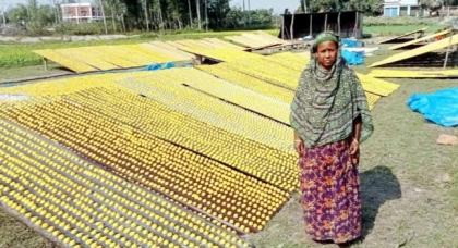 সিরাজগঞ্জে কুমড়ো বড়ি তৈরি করে স্বাবলম্বী জাহানারা খাতুন