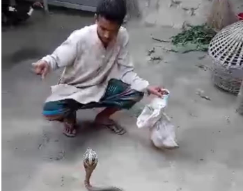 খানসামায় নিজের পোষা সাপের কামড়ে যুবকের মৃত্যু