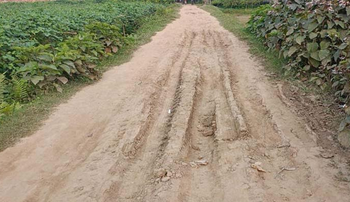 ঘোড়াঘাটে রাস্তা খুঁড়ে লাপাত্তা ঠিকাদার, বিপাকে ৯ গ্রামের মানুষ