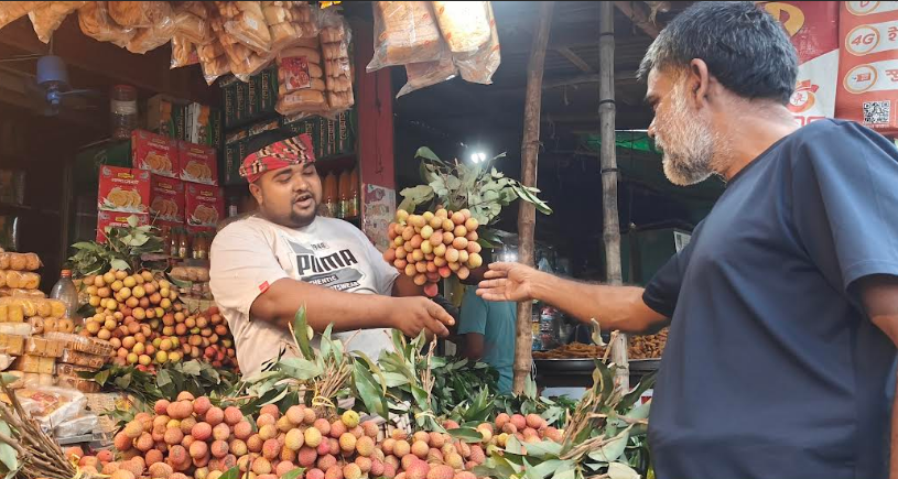 লিচুর রমরমা বাজার শেরপুরে, দিনে বিক্রি প্রায় ১০ লাখ টাকা