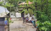 পটুয়াখালীর কলাপাড়ায় ডেঙ্গুতে প্রথম মৃত্যু, জেলায় আক্রান্ত ৫৬৪
