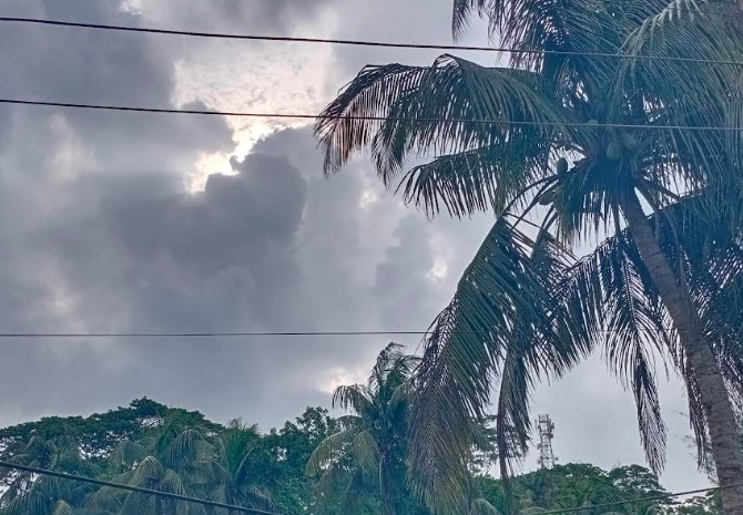 পটুয়াখালির কলাপাড়ায় টানা বৃষ্টির পর ১৫ দিন পর দেখা মিললো সূর্যের, জলাবদ্ধতায় কৃষিতে ব্যাপক ক্ষতি