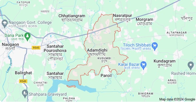 আদমদীঘির সান্তাহারে ২৫ পিস ট্যাপেন্টাডল ট্যাবলেটসহ মাদককারবারি গ্রেপ্তার