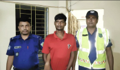 বড়াইগ্রামে মর্মান্তিক সড়ক দুর্ঘটনায় নিহত ৮, ঘাতক ট্রাক চালক গ্রেফতার