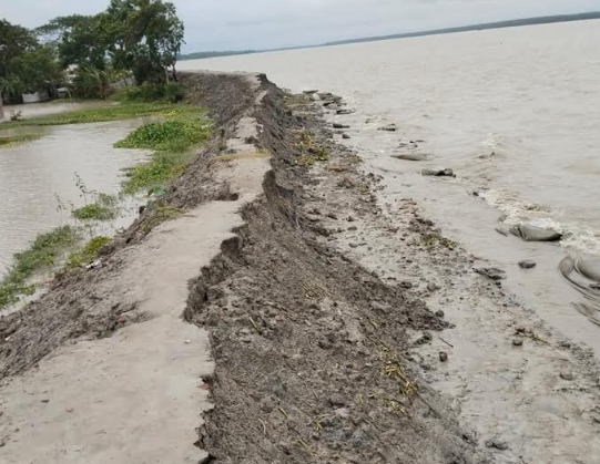 কলাপাড়ায় দেড় কোটি টাকার বেড়িবাঁধ মেরামতের ছয় মাসেই নদীতে বিলীন, দরকার স্থায়ী বাঁধ 