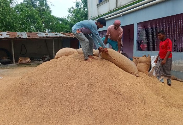 প্রান্তিক চাষির লাভ খেয়ে নিচ্ছে মধ্যস্বত্বভোগীরা