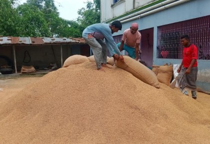 প্রান্তিক চাষির লাভ খেয়ে নিচ্ছে মধ্যস্বত্বভোগীরা