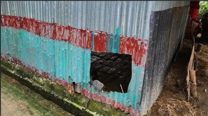 নন্দীগ্রামে গোয়াল ঘরের সিঁদ কেটে কৃষকের ৫টি গরু চুরি
